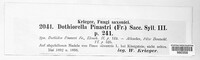 Phacidium lacerum image